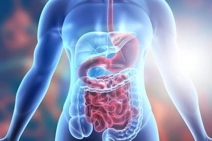 Gastroenterology & GI Surgery