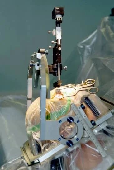 Neurology and Neurosurgery